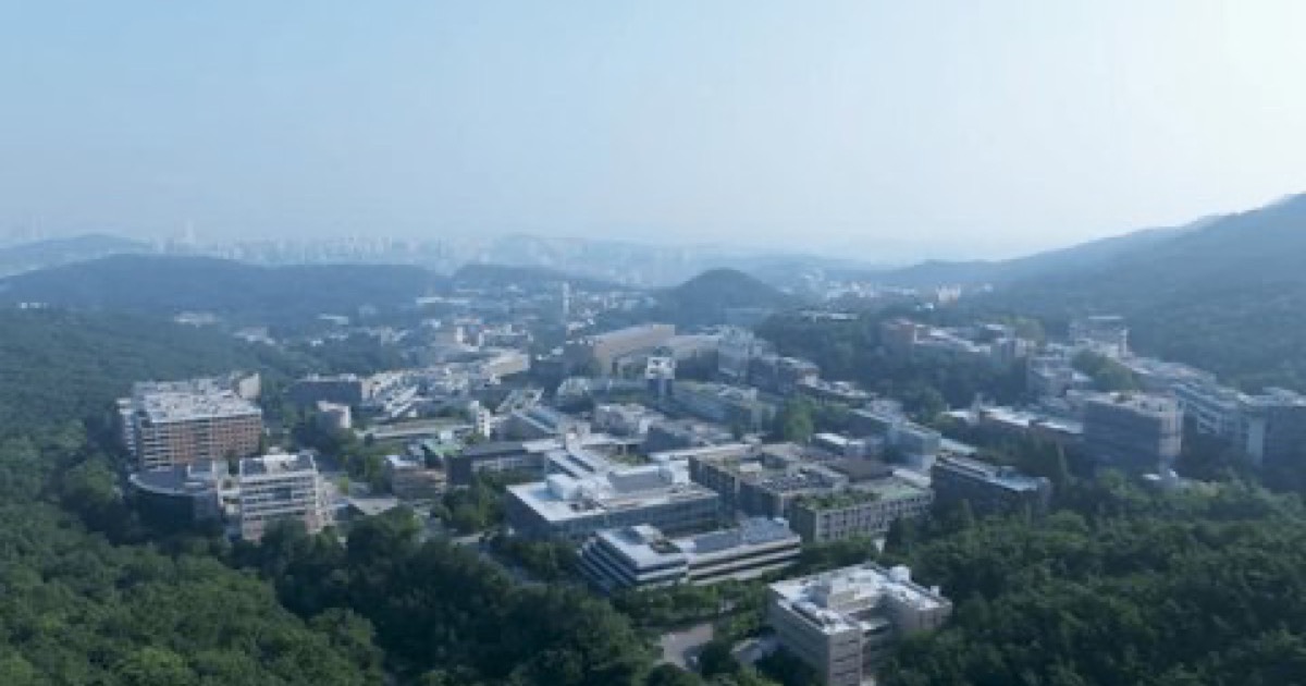 대학 캠퍼스
